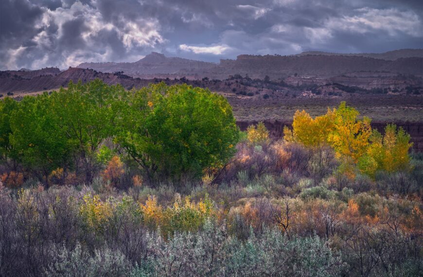 PHOTO: Autumn Mesa by Wayne Suggs