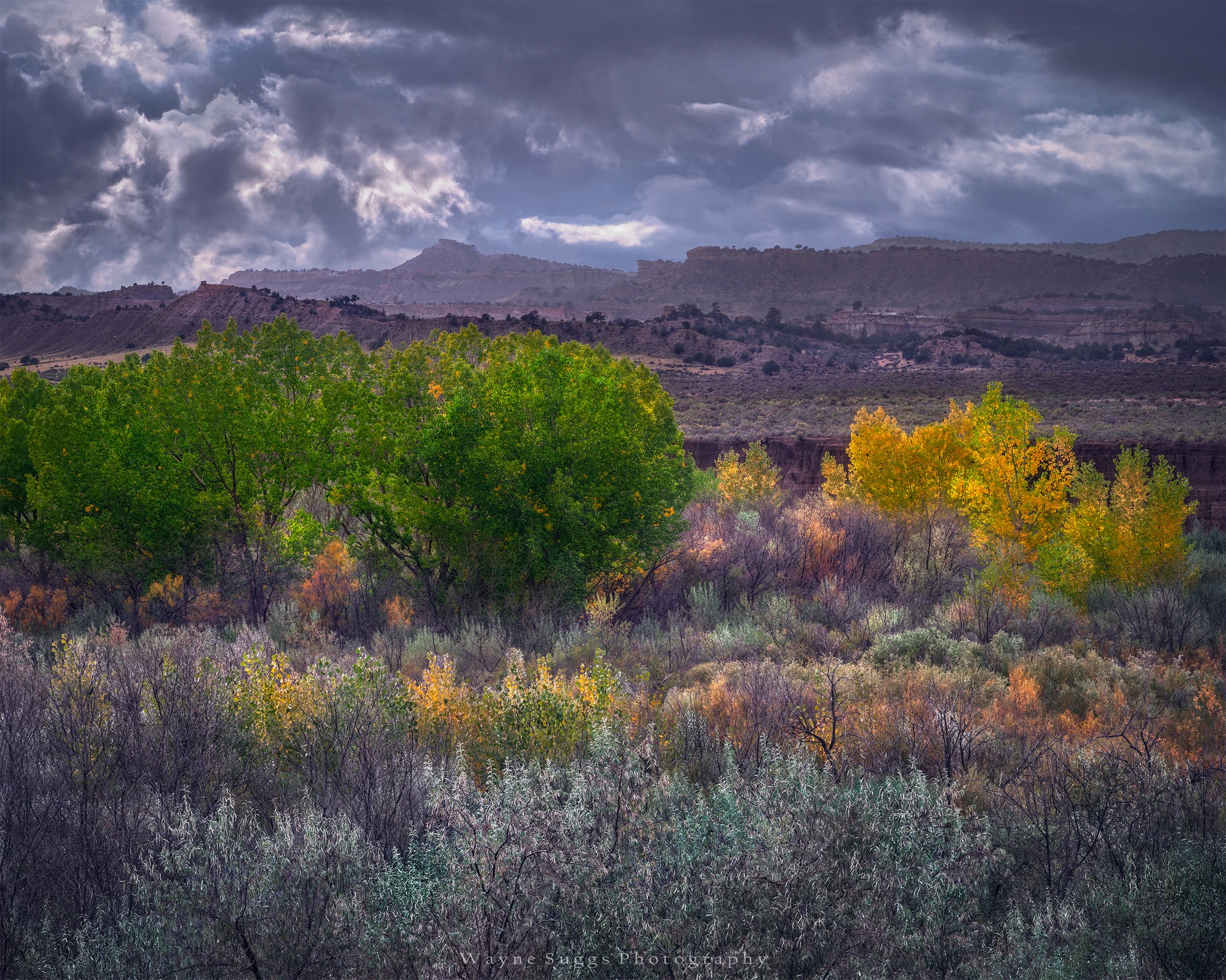 PHOTO: Autumn Mesa by Wayne Suggs