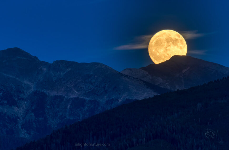 PHOTO: Blue Super Moon by Ed MacKerrow