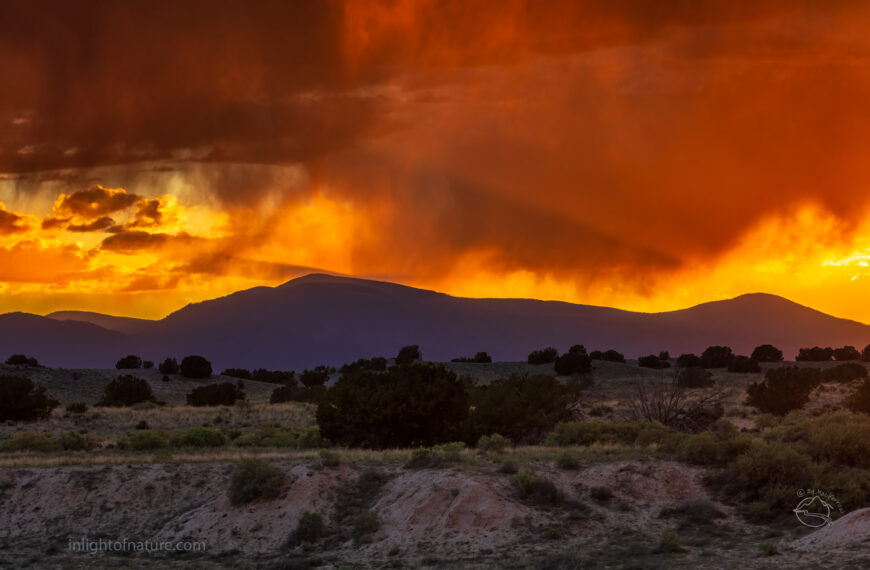 PHOTO: Dramatic Skies by Ed MacKerrow