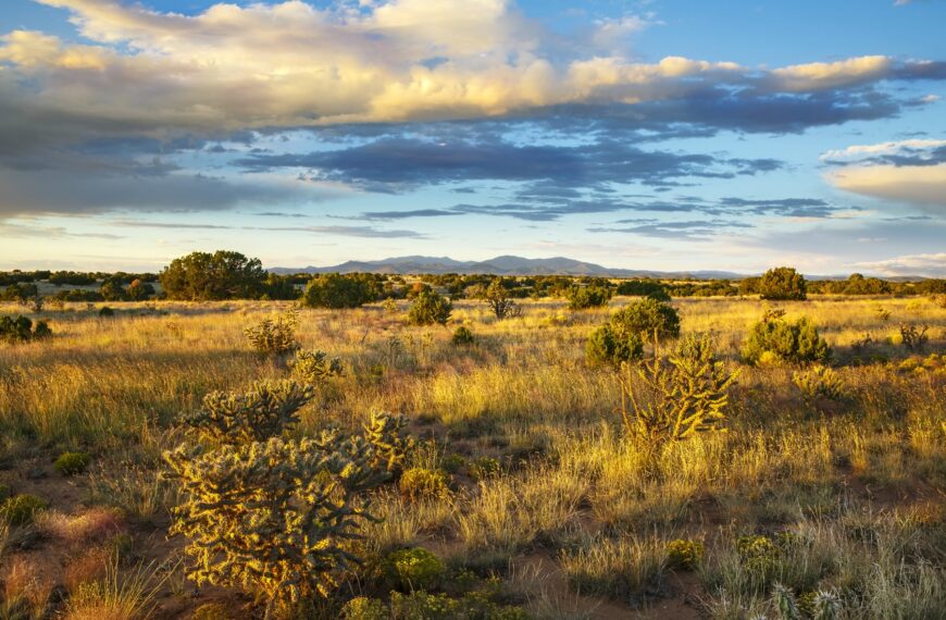 Galisteo Basin Preserve