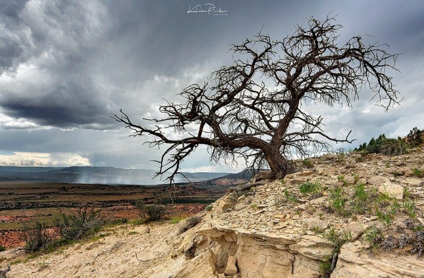 PHOTO: Ghost Ranch Storm by Klaus Priebe