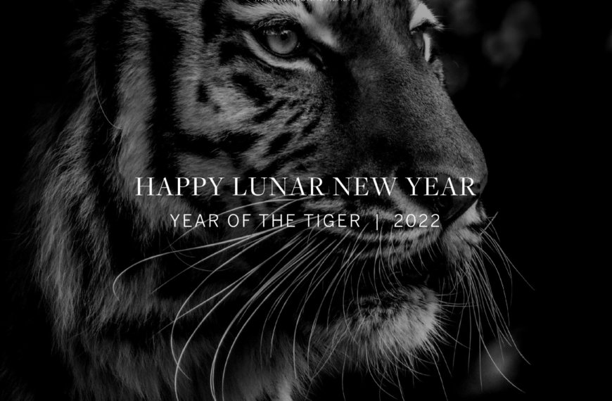 Happy Lunar New Year!