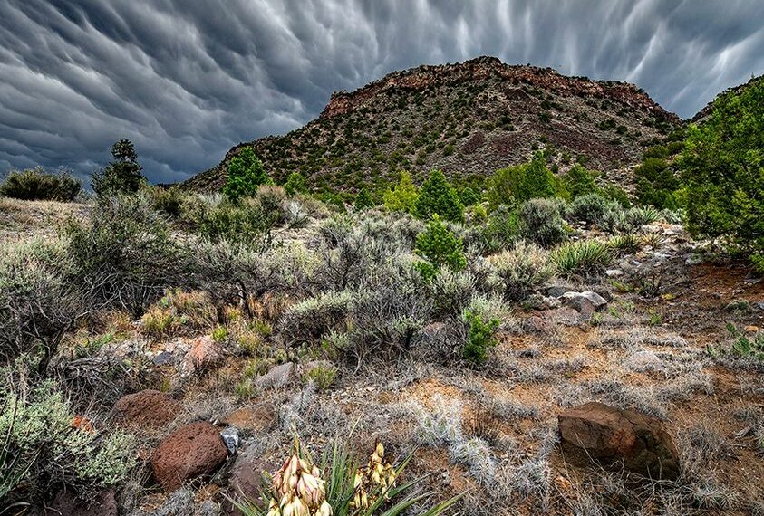 PHOTO: Monsoon Radiance by Klaus Priebe