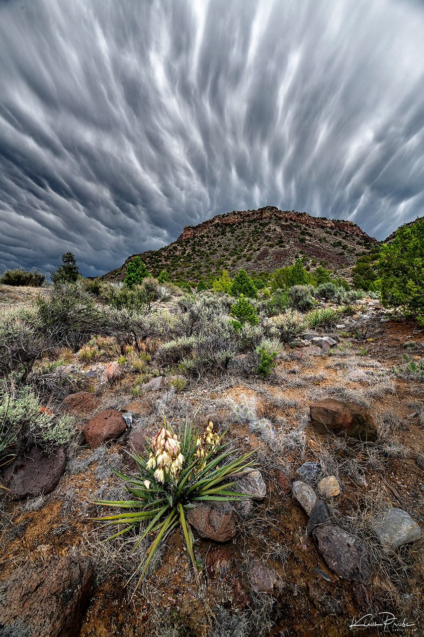 PHOTO: Monsoon Radiance by Klaus Priebe