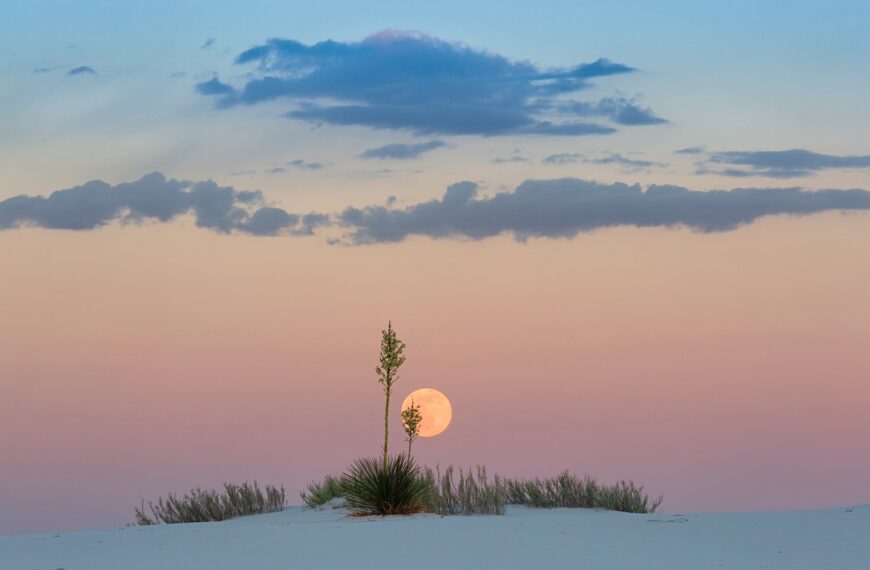 PHOTO: Moonrise at White Sands by Don Smith