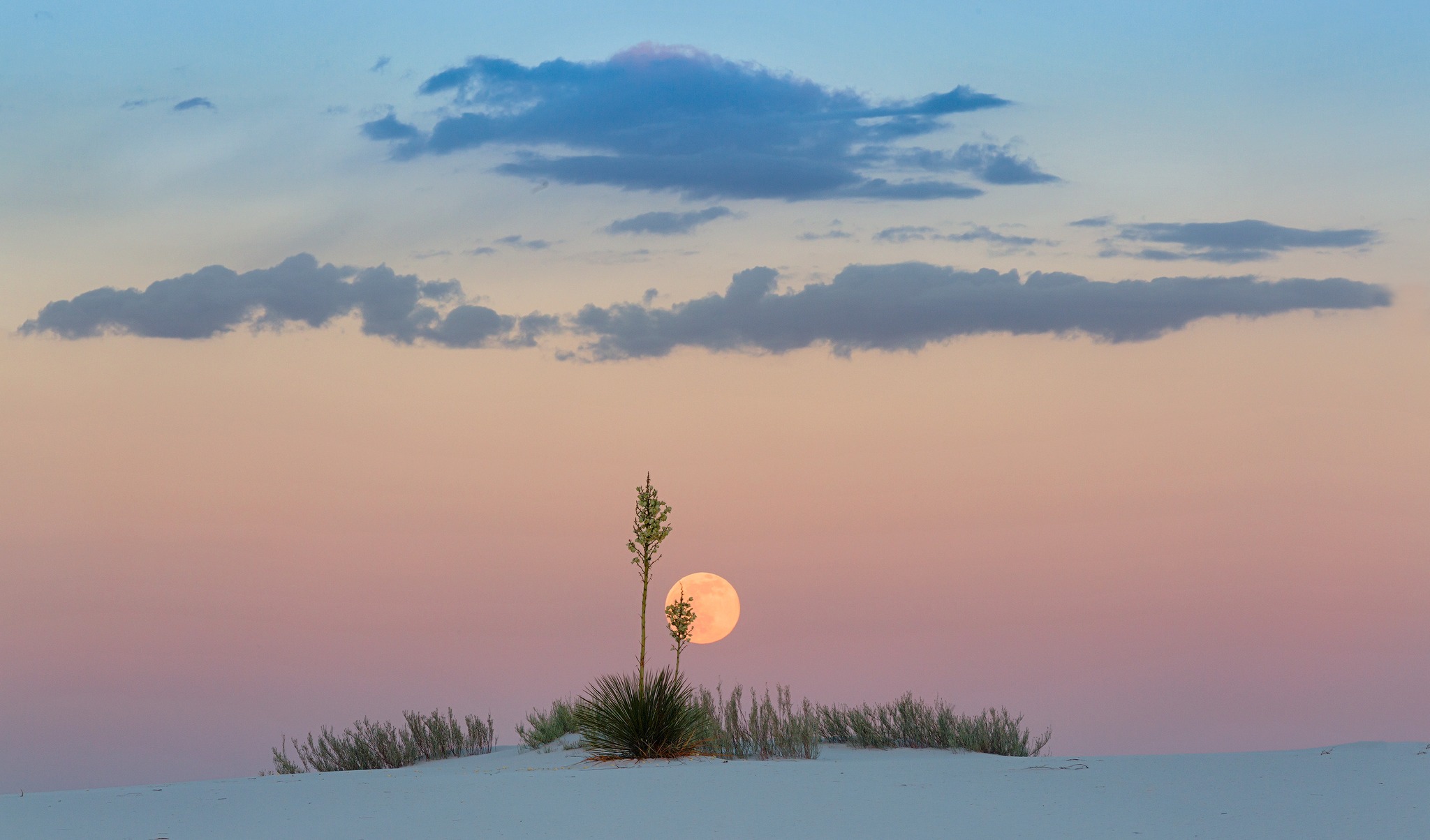 PHOTO: Moonrise at White Sands by Don Smith