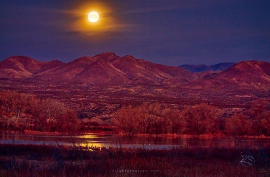 PHOTO: Moonset over the Bosque del Apache by Ed MacKerrow