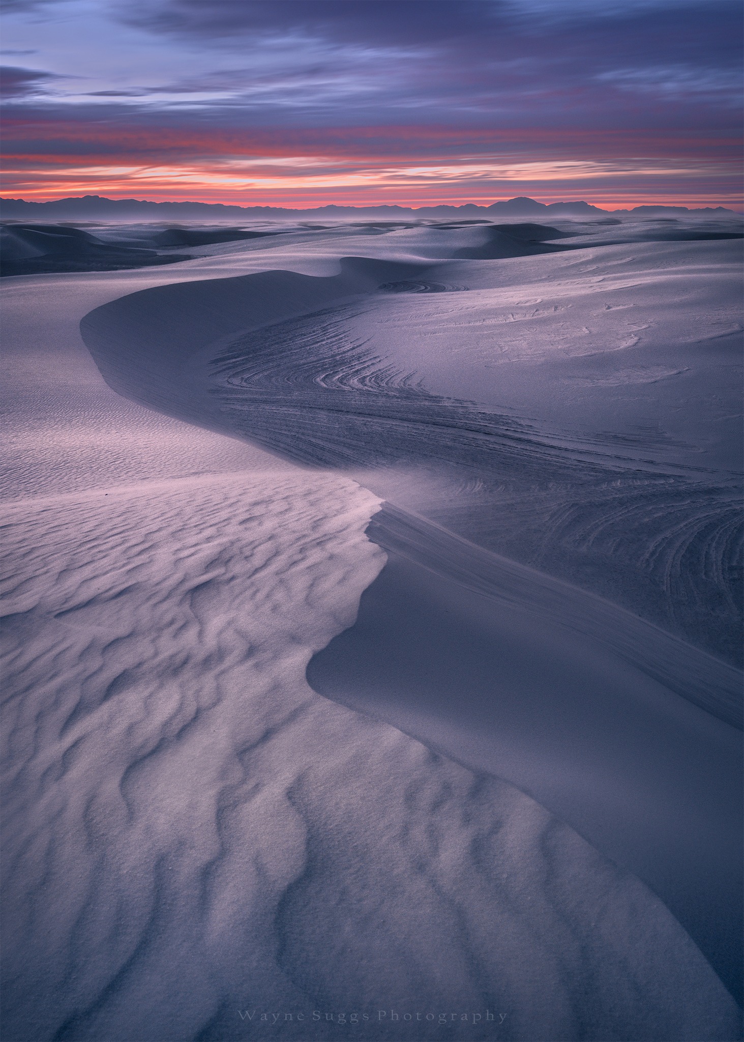 PHOTO: Never Still by Wayne Suggs