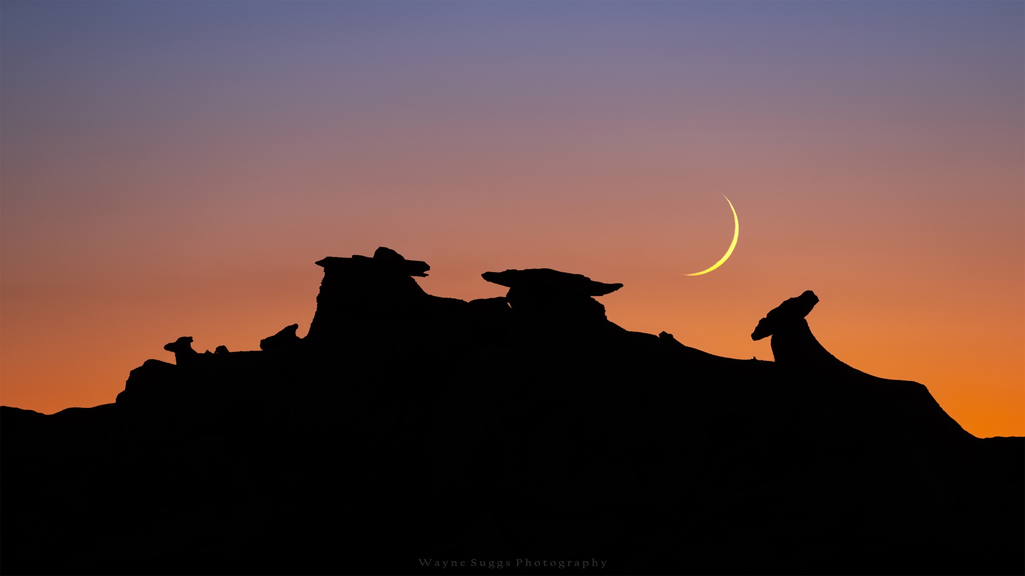 PHOTO: New Mexico Moon by Wayne Suggs