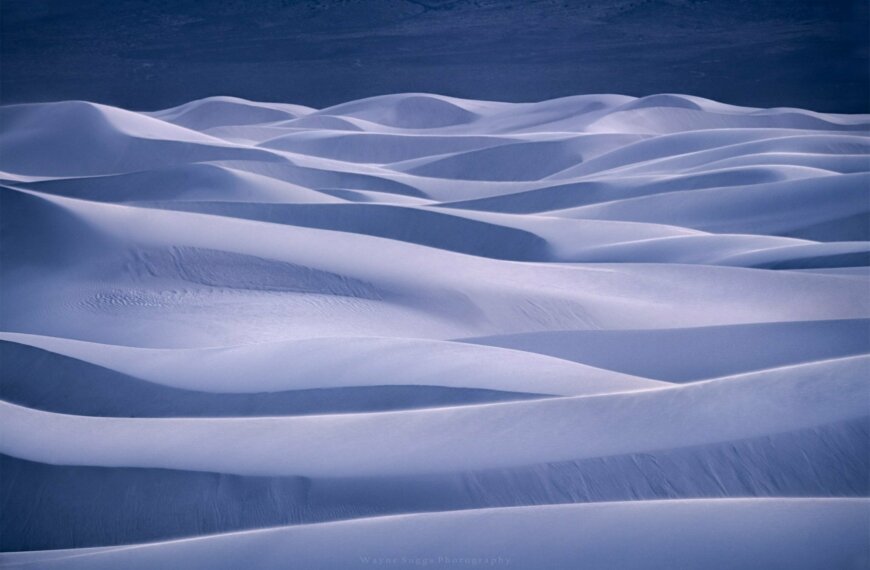 PHOTO: Olas de Leche by Wayne Suggs