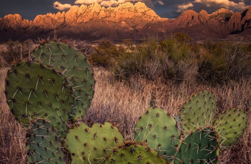 PHOTO: Organ Mountains in the Fading Light by Richter MachThunder