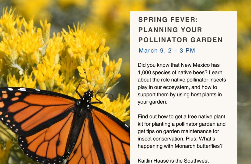 Spring Fever: Planning Your Pollinator Garden