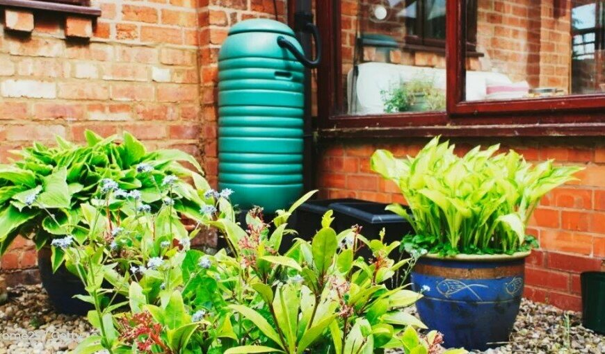 What You Should Know About Rain Barrels