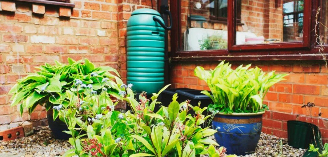 What You Should Know About Rain Barrels