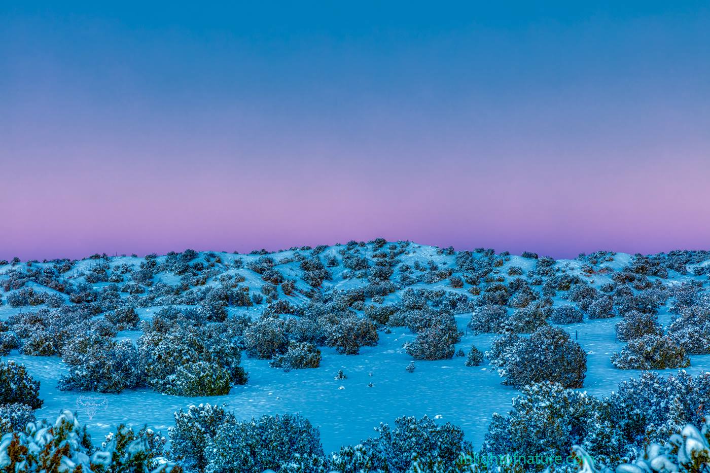 PHOTO: Snowy Belt of Venus by Ed MacKerrow