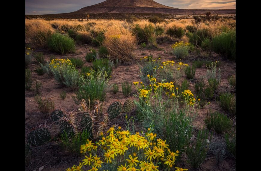 PHOTO: Solitude by Richter MachThunder