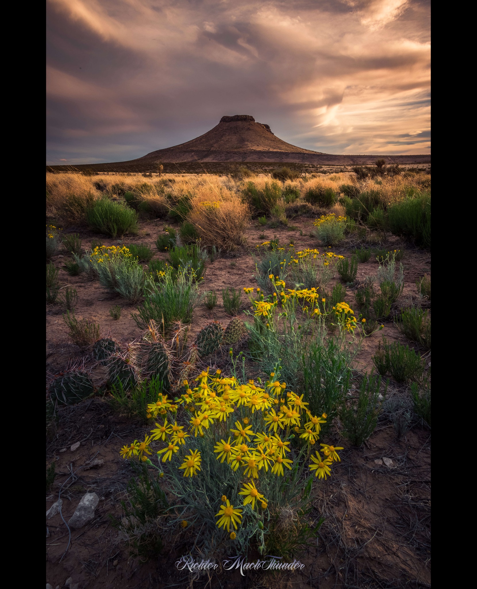 PHOTO: Solitude by Richter MachThunder