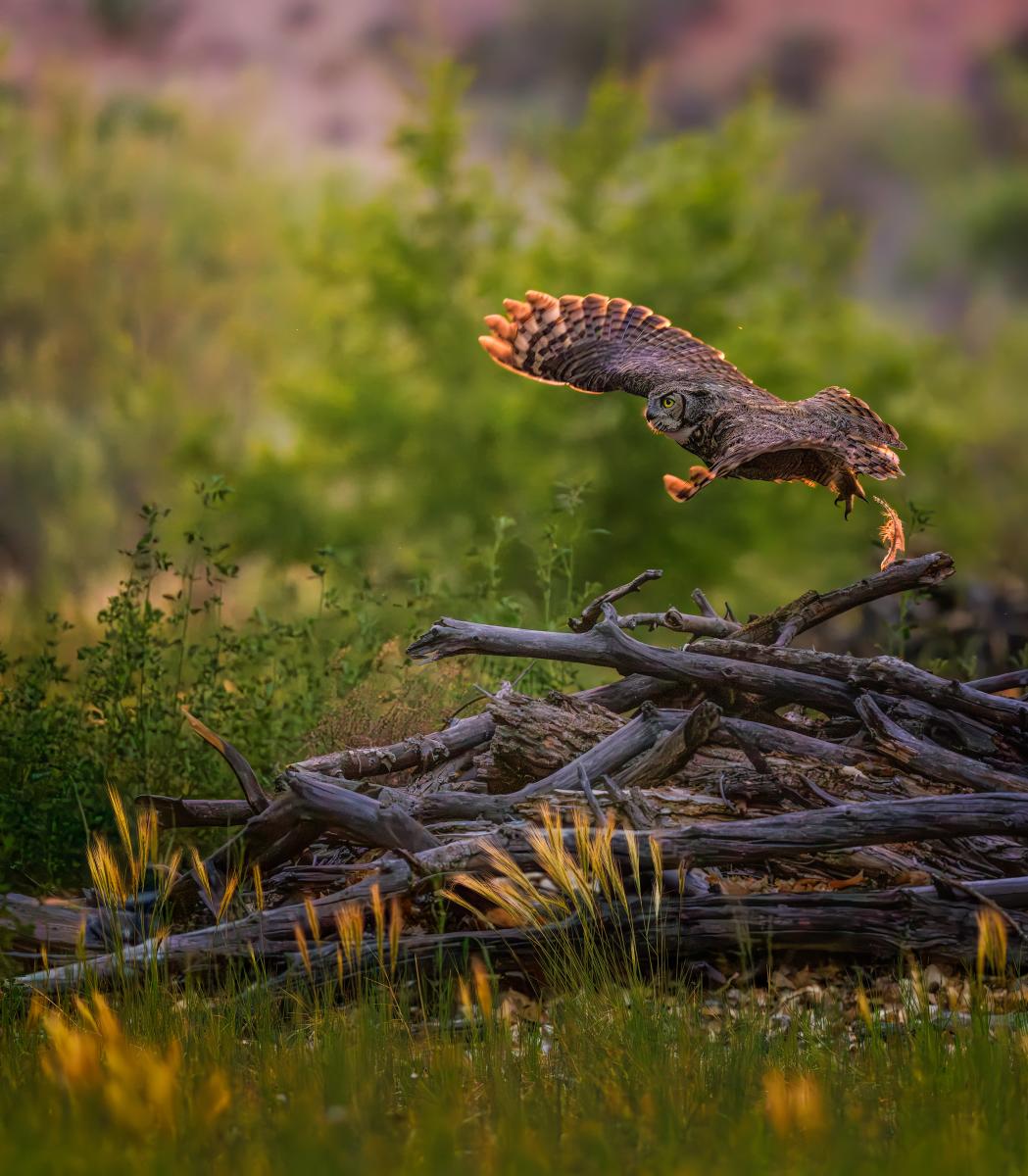 The 23rd Annual New Mexico Magazine Photos of the Year