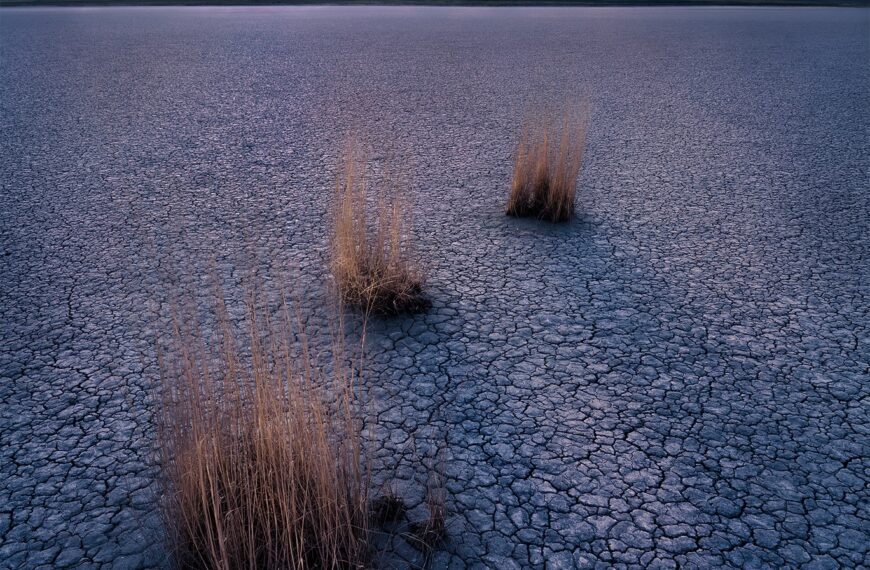 PHOTO: Waiting on Tomorrow by Wayne Suggs