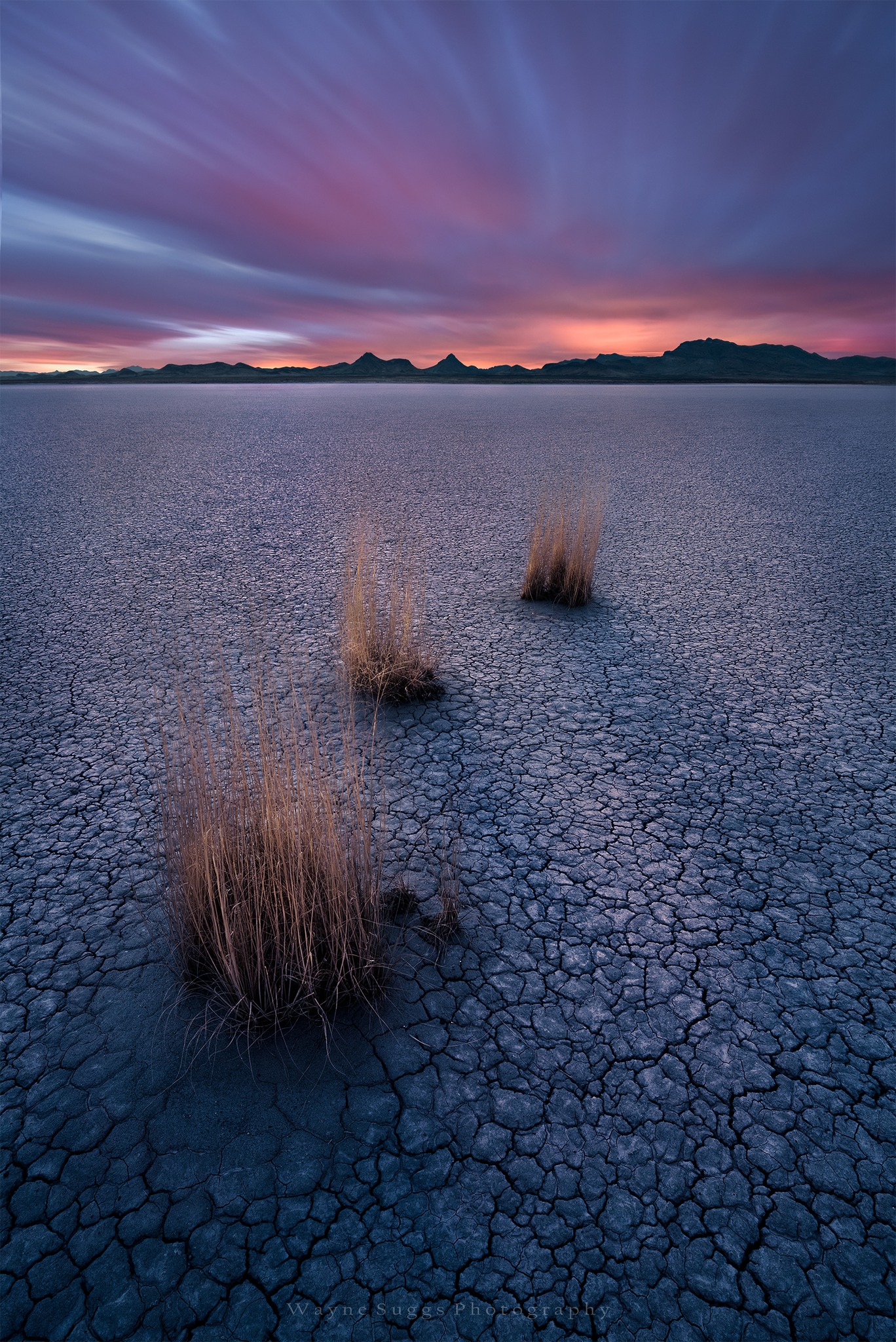 PHOTO: Waiting on Tomorrow by Wayne Suggs