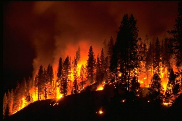 Protect Your Home from Wildfire