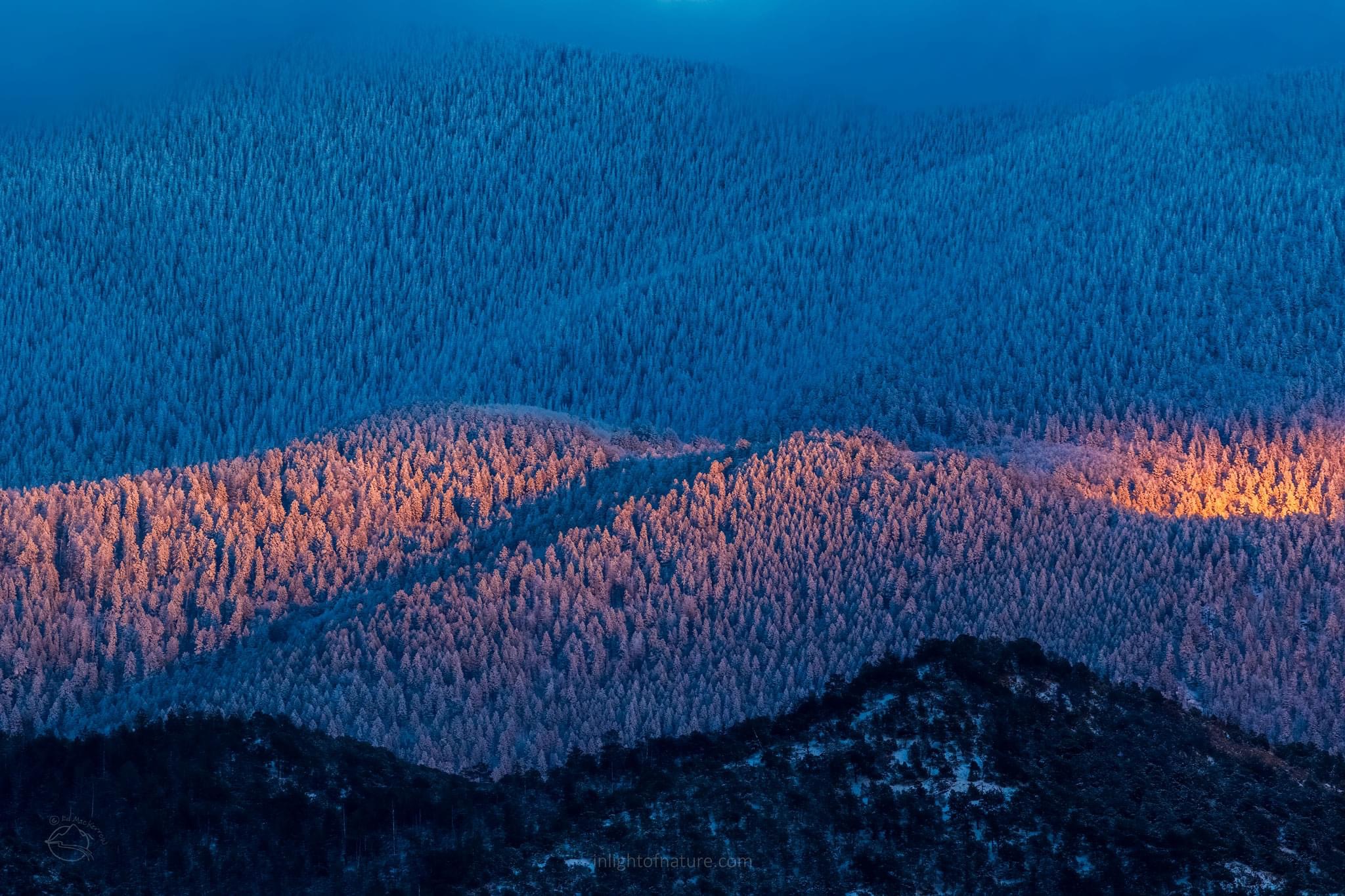 PHOTO: Cold and Snowy Evening by Ed MacKerrow